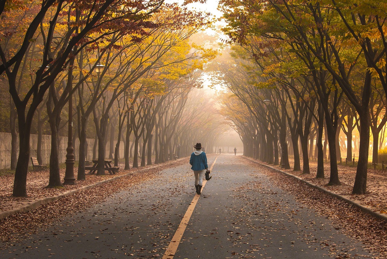 외로움을 극복하는 8가지 실용적인 방법