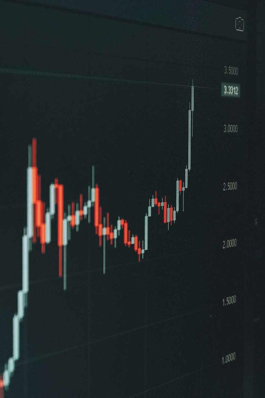 모틀리풀 CEO의 조언: 다른 곳을 보라